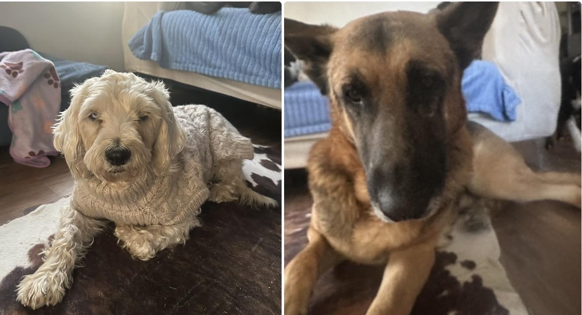 Bonnie & Clyde thumbnail 3