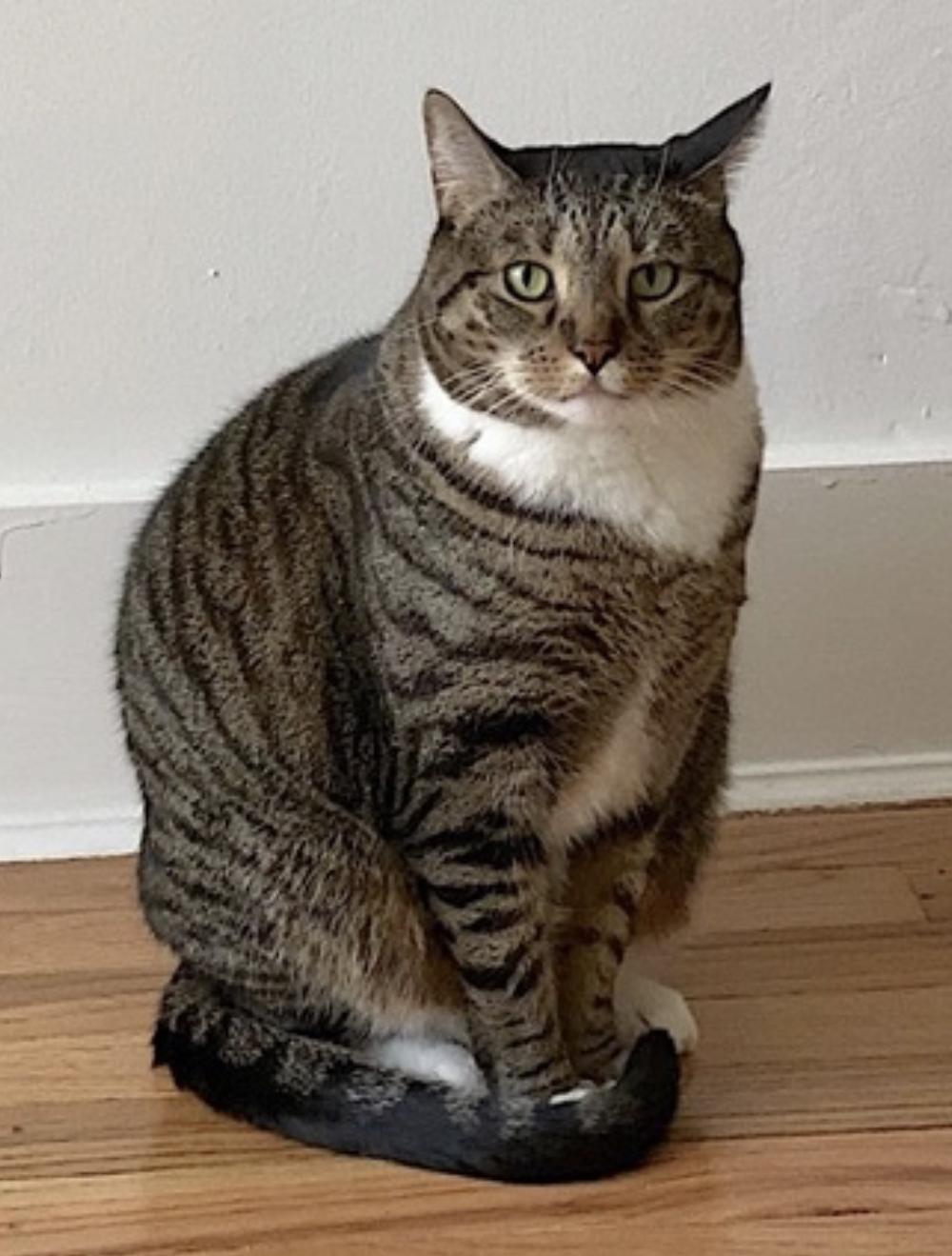 Jade — thumbnail 2