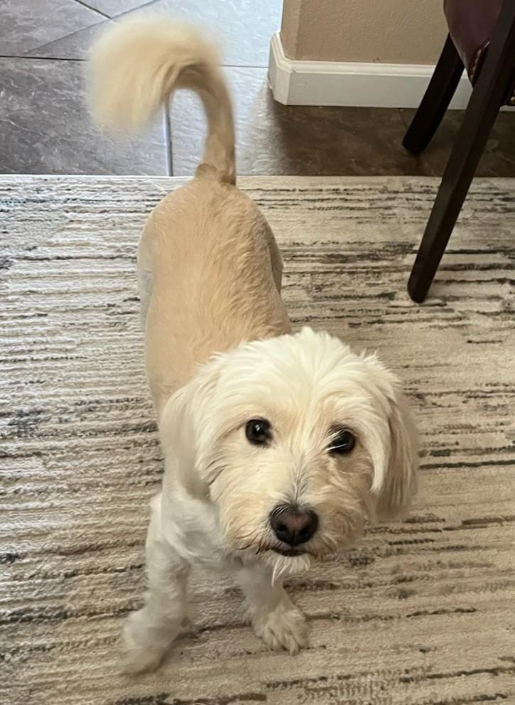 Gretta