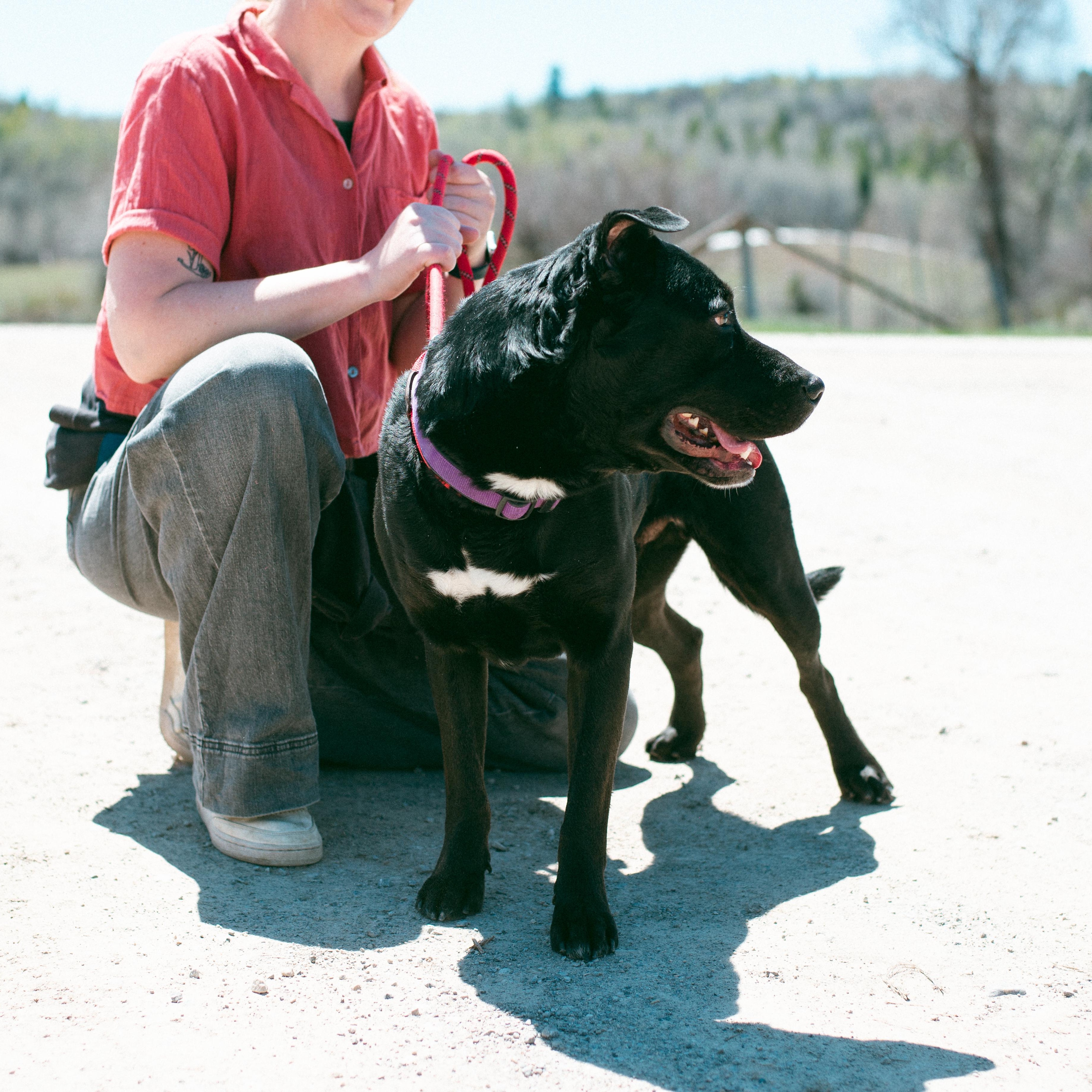 Wrangler photo 5