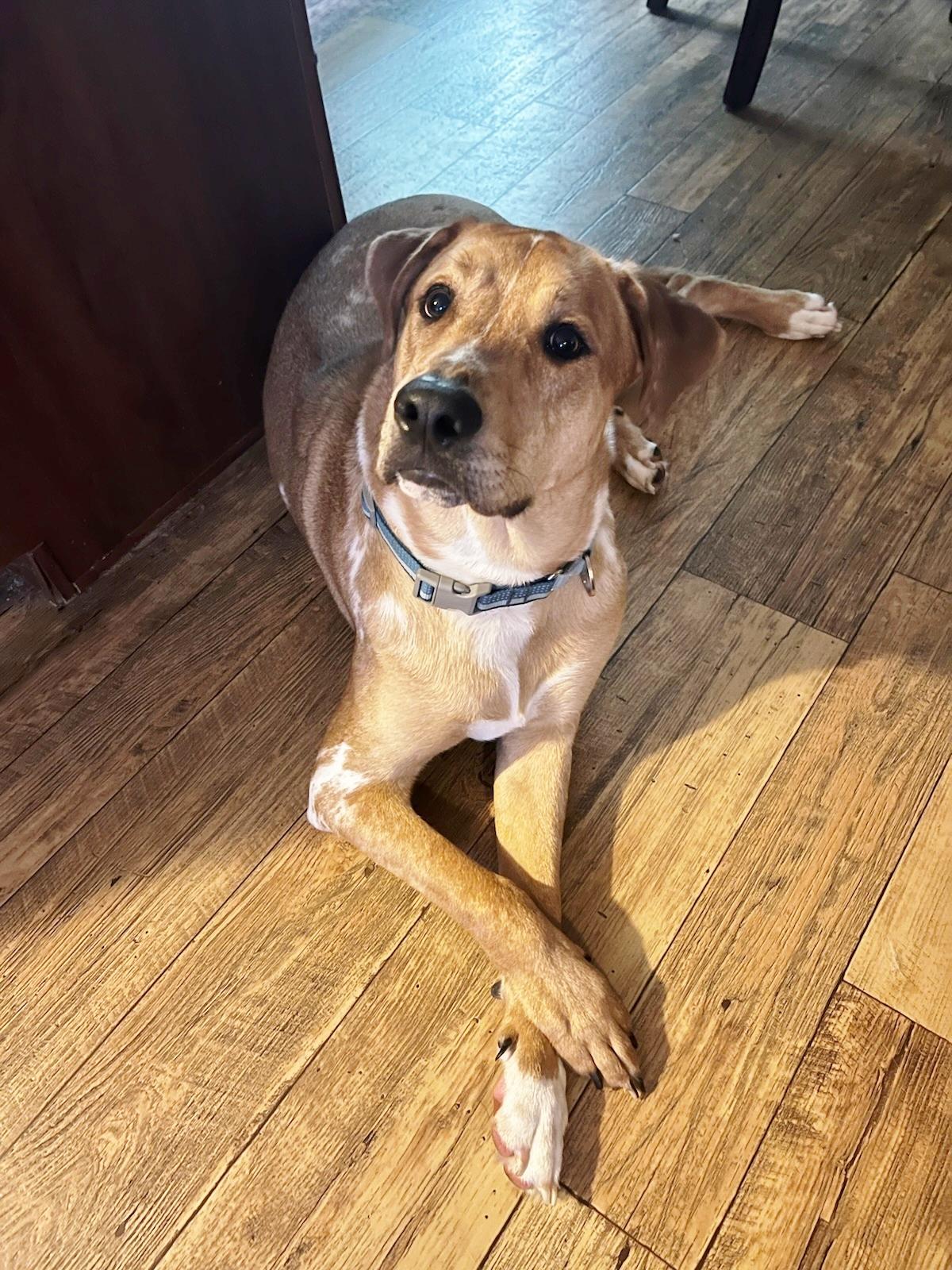 Leo