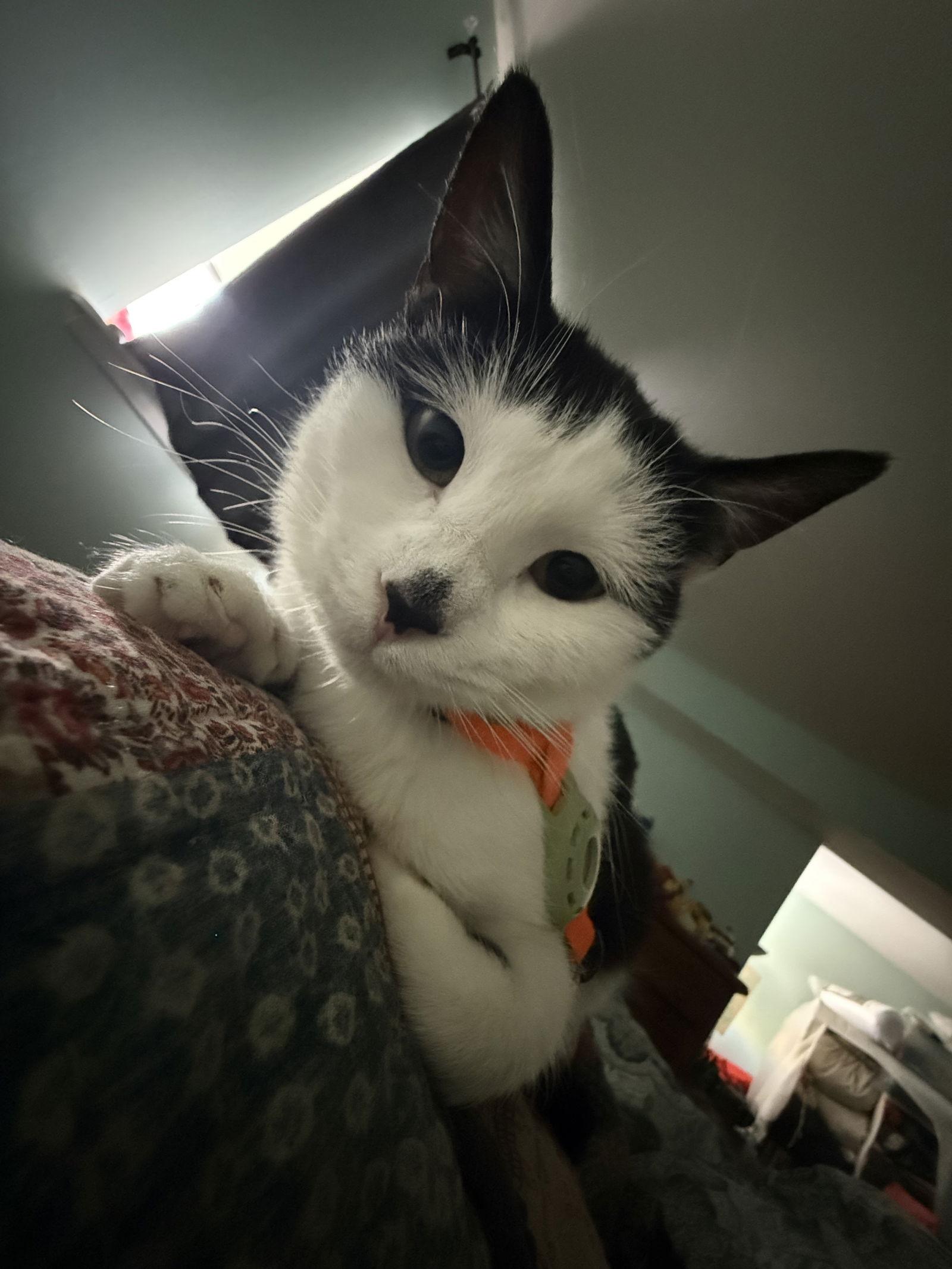 Smudge — thumbnail 3