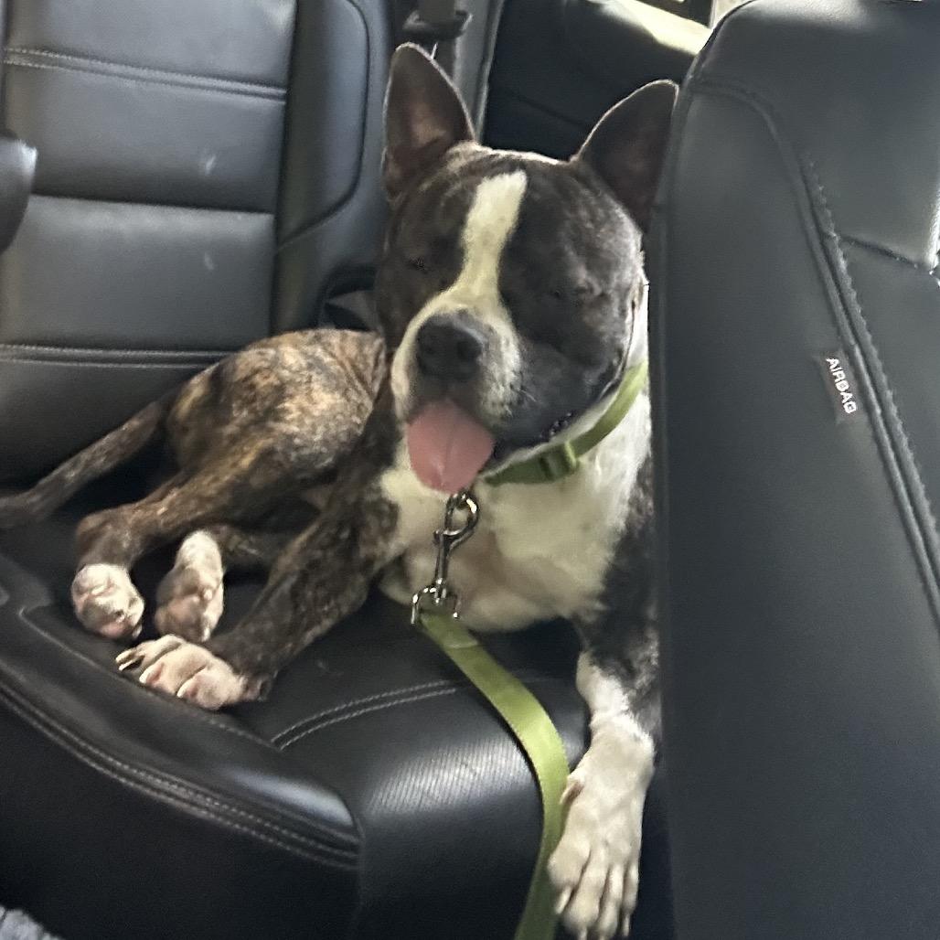 Tad (Courtesy Post) — thumbnail 2