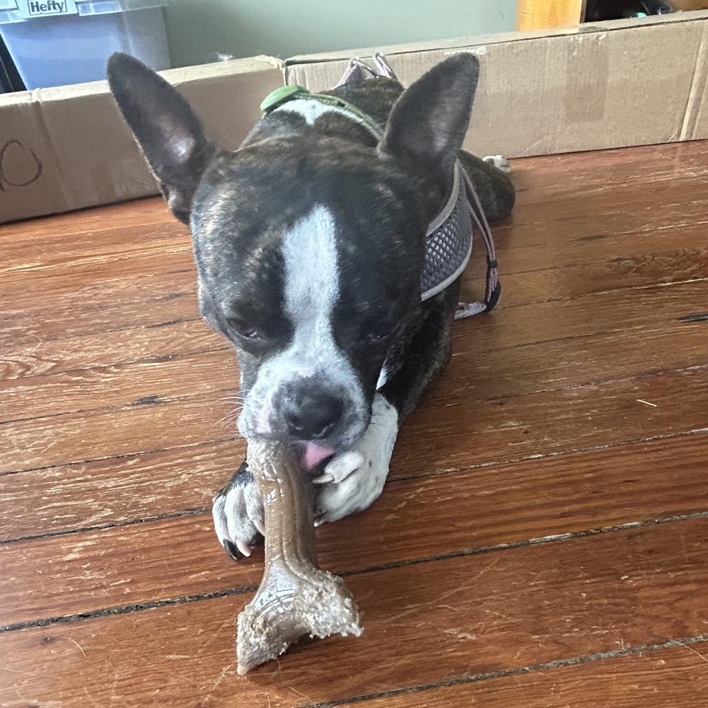 Tad (Courtesy Post) — thumbnail 6