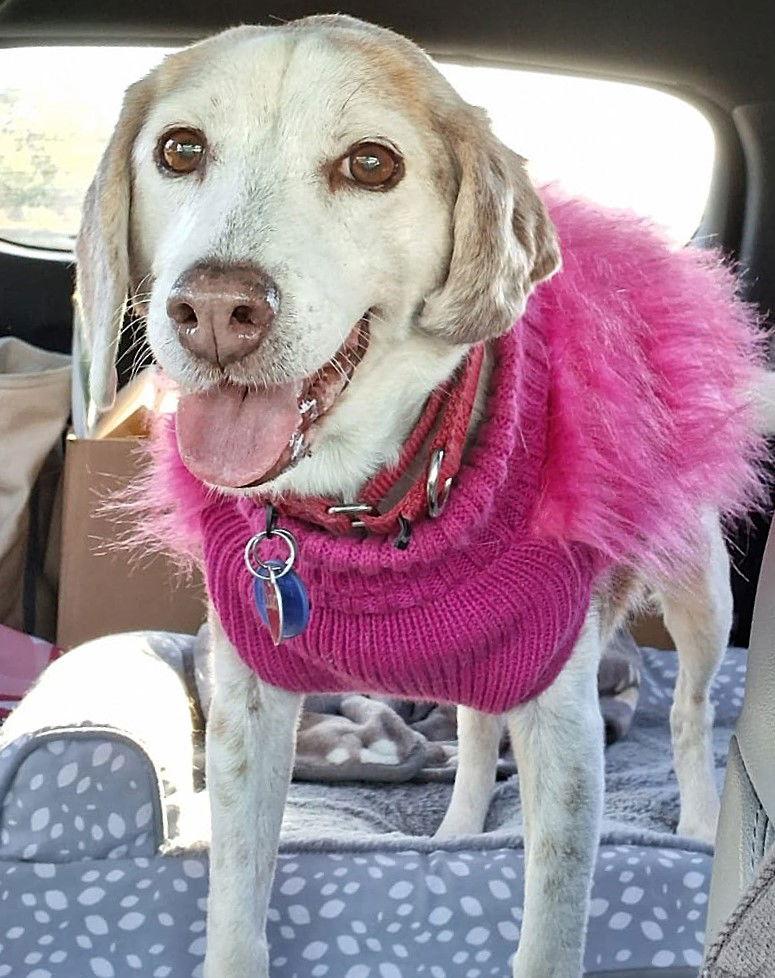 Scarlett — thumbnail 2