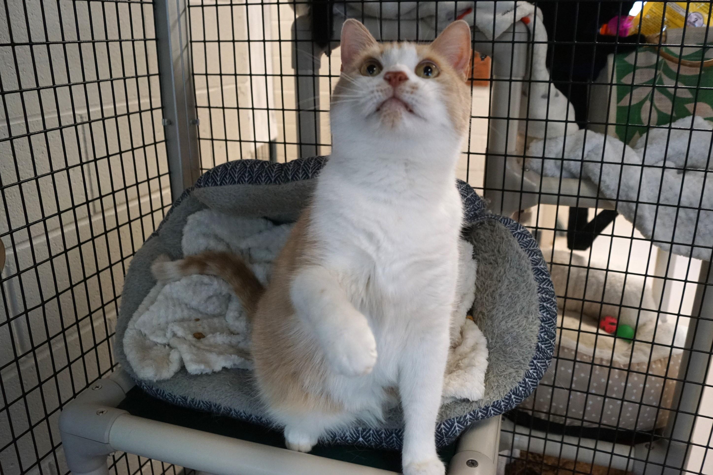 Sergio Bonded w/Dario