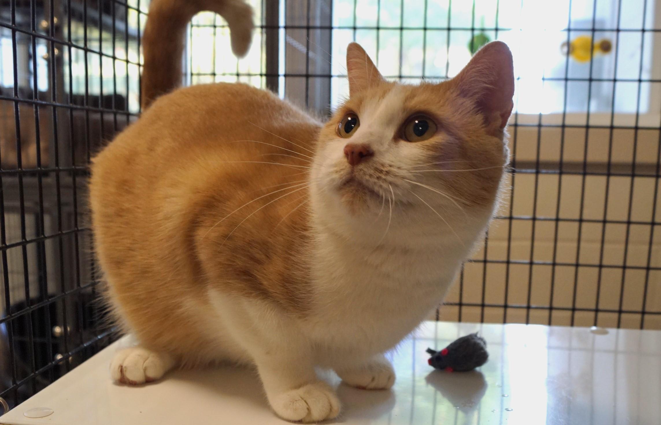 Sergio Bonded w/Dario