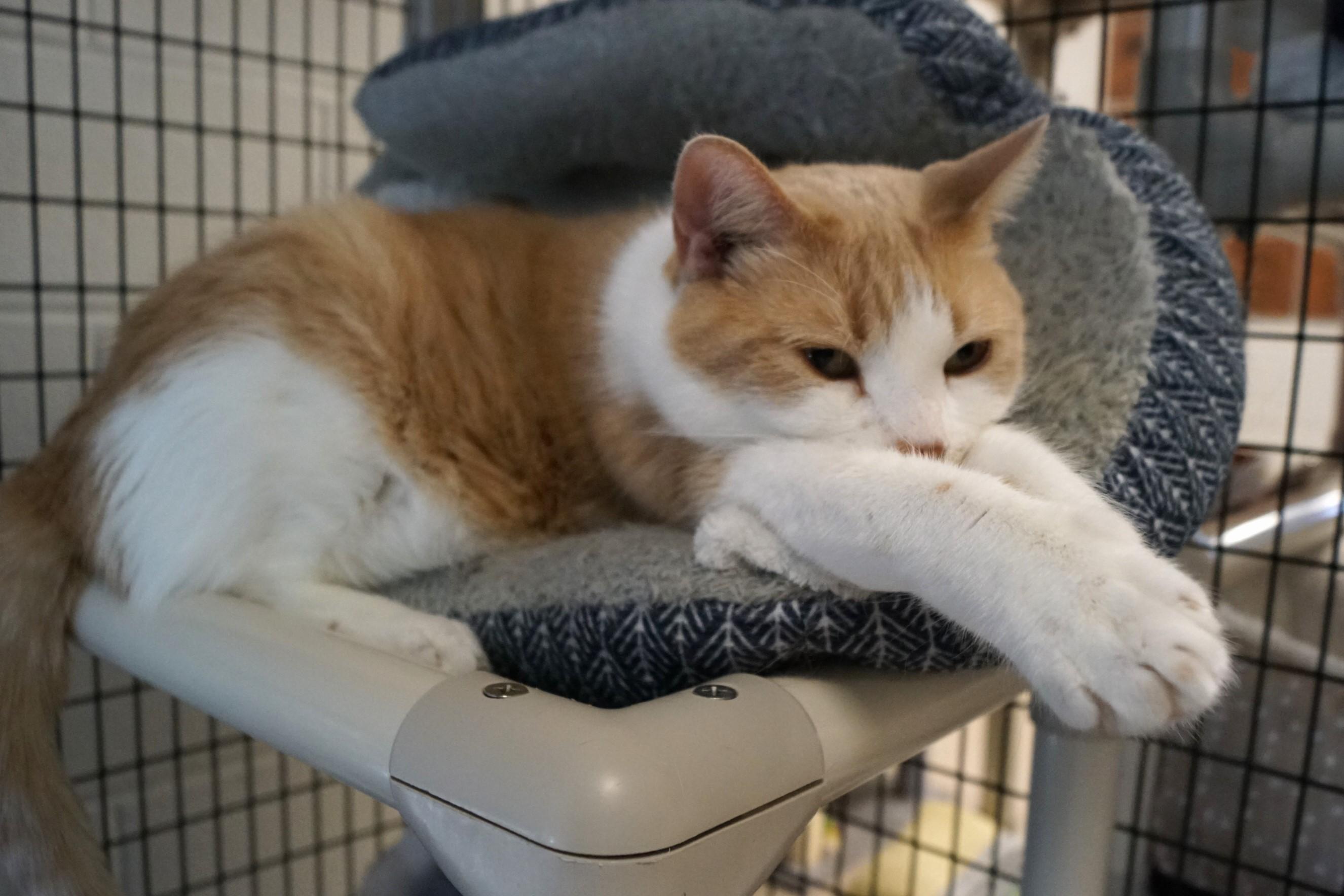 Sergio Bonded w/Dario