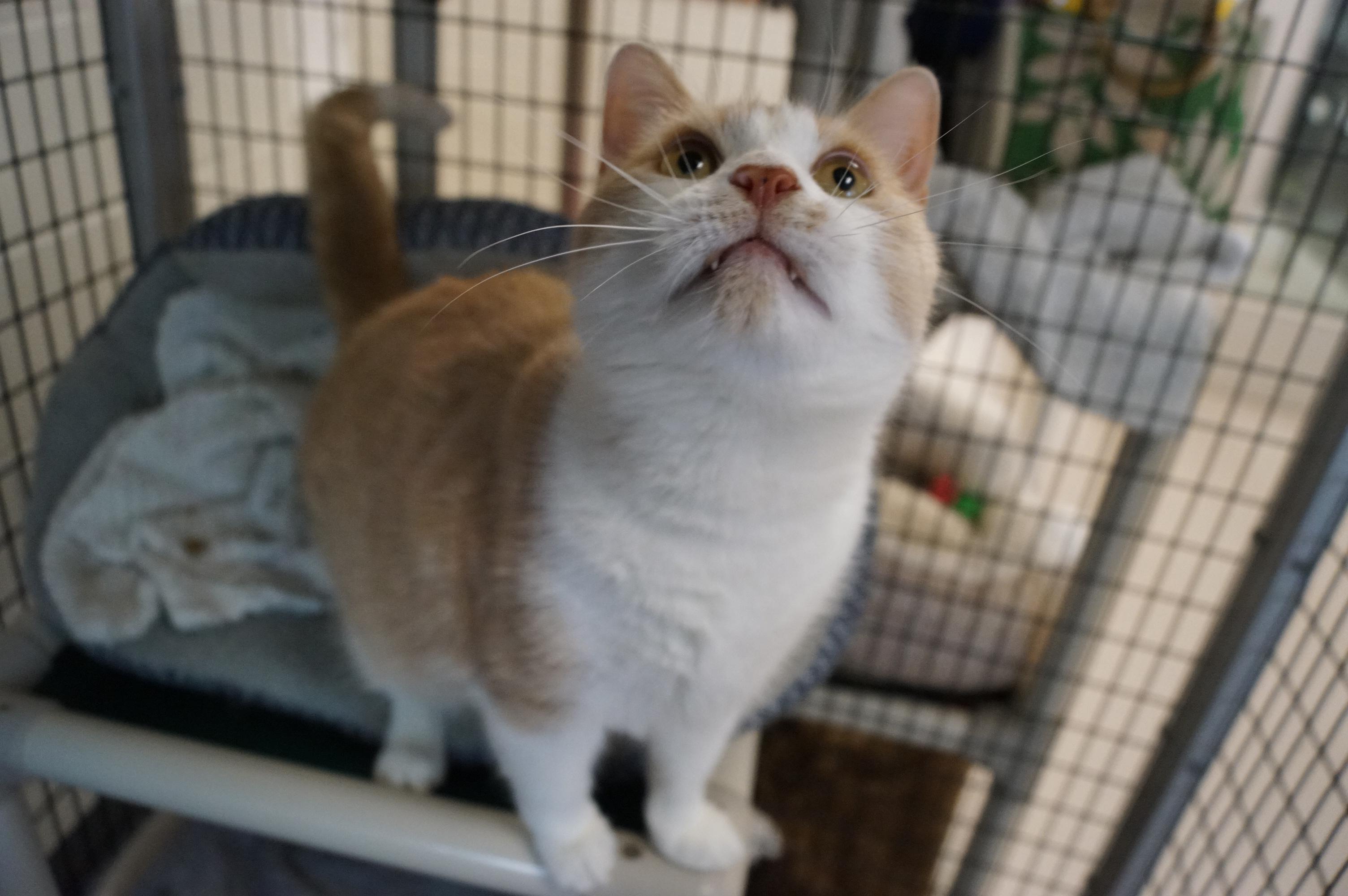 Sergio Bonded w/Dario