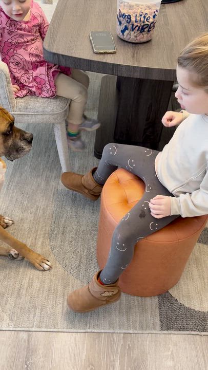 Enlarge Mr Wrinkles, an adoption pending Boxer in Middlesex, NJ video 5/5