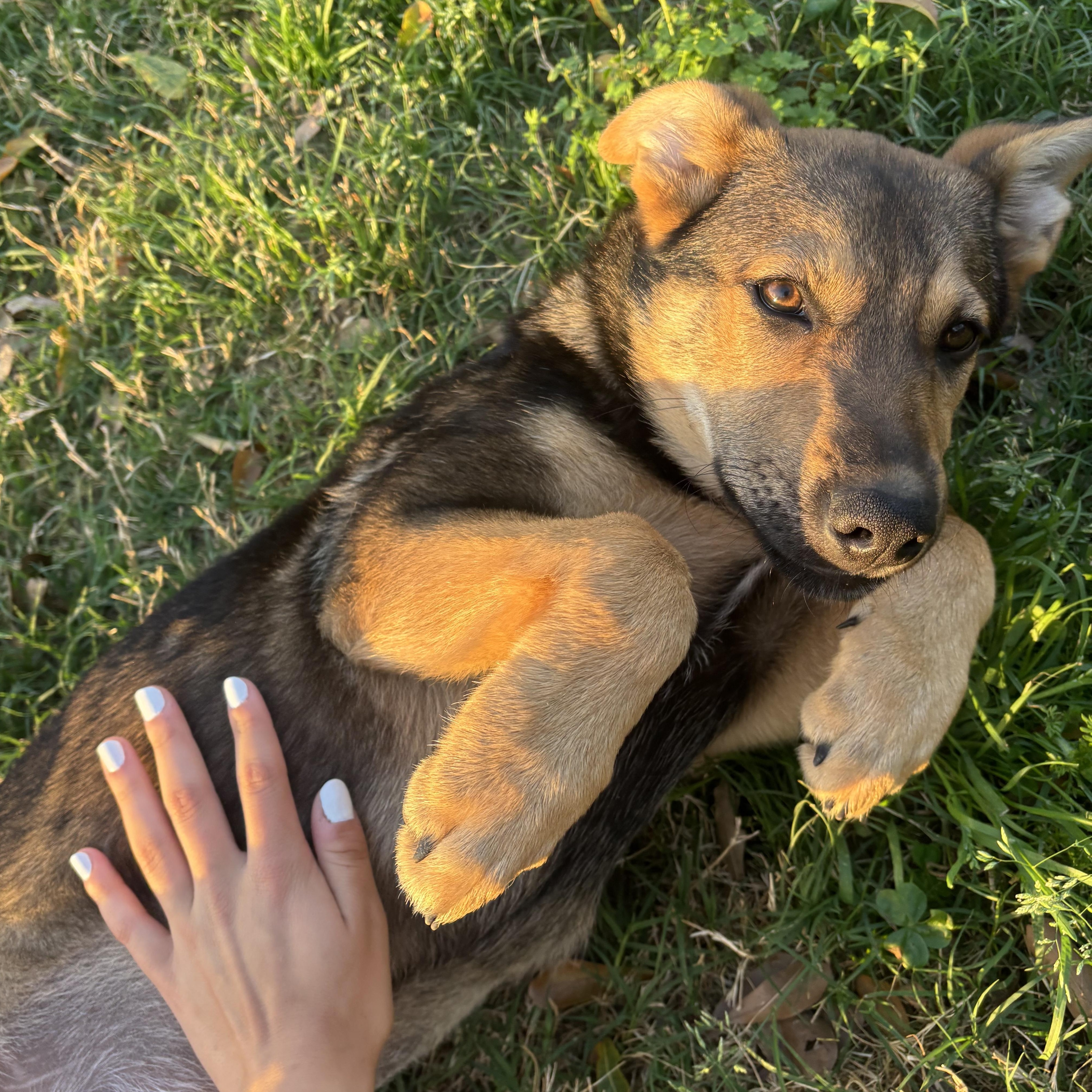 Jilly — thumbnail 2