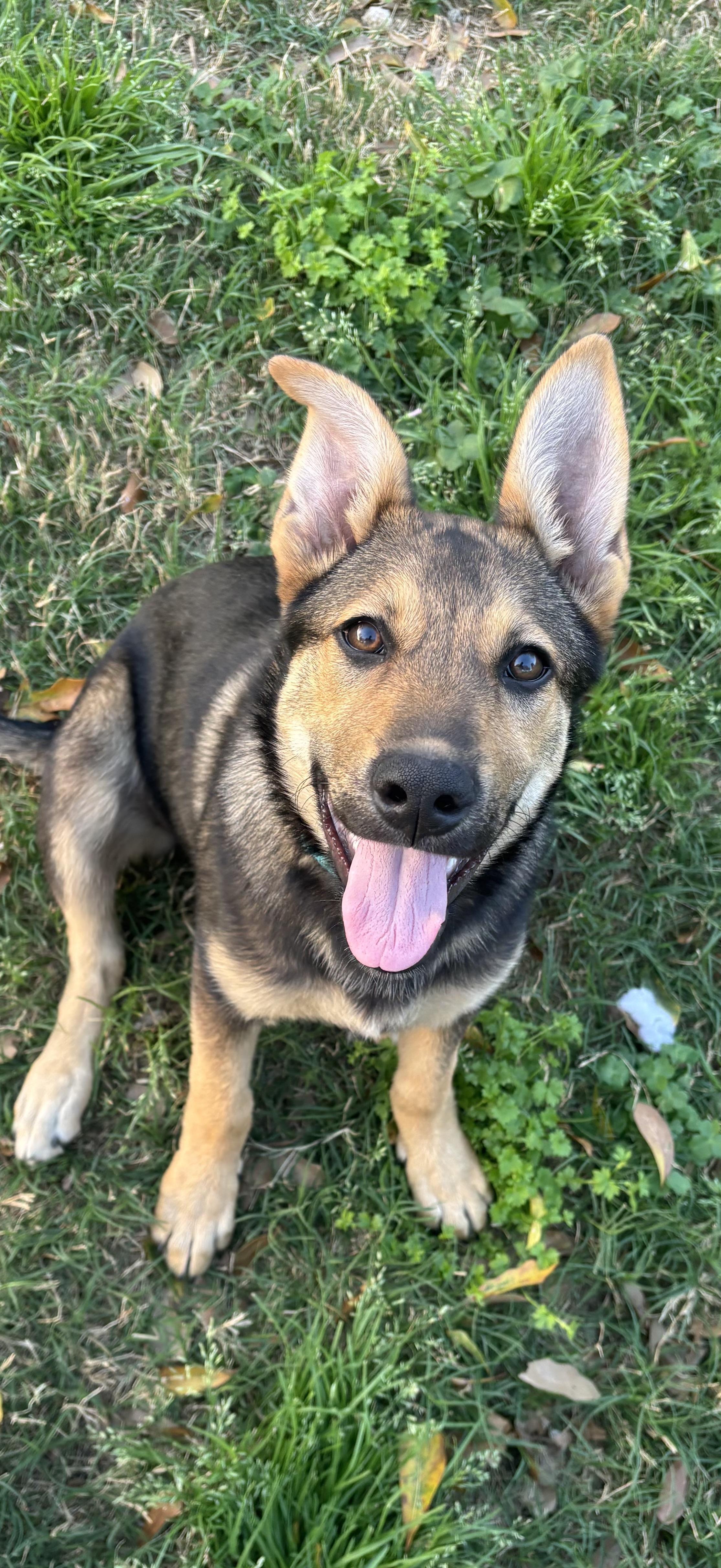 Jilly — thumbnail 5