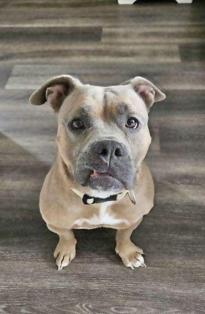 Gracie Lynn — thumbnail 2