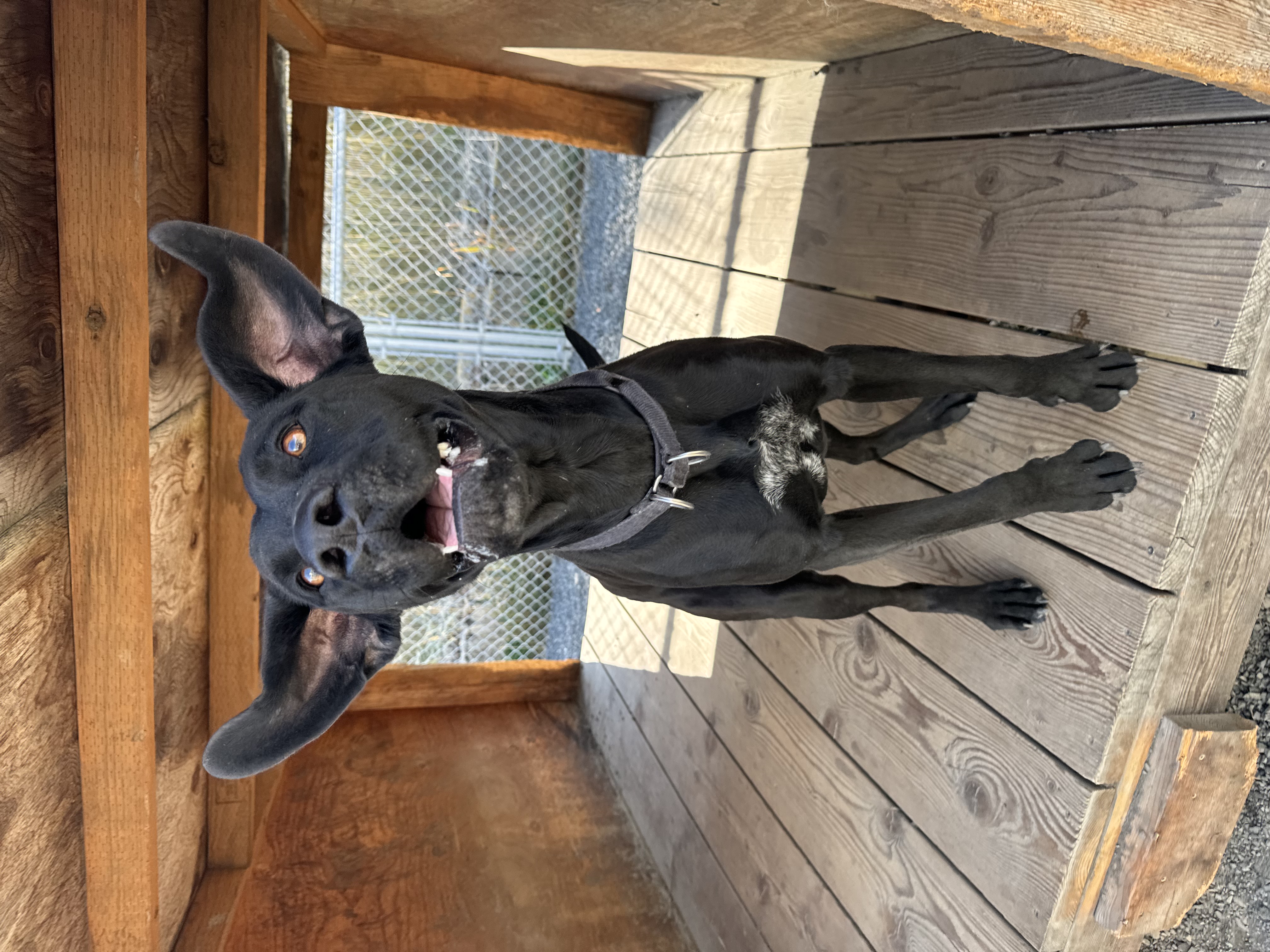 **COURTESY LISTING** Jade