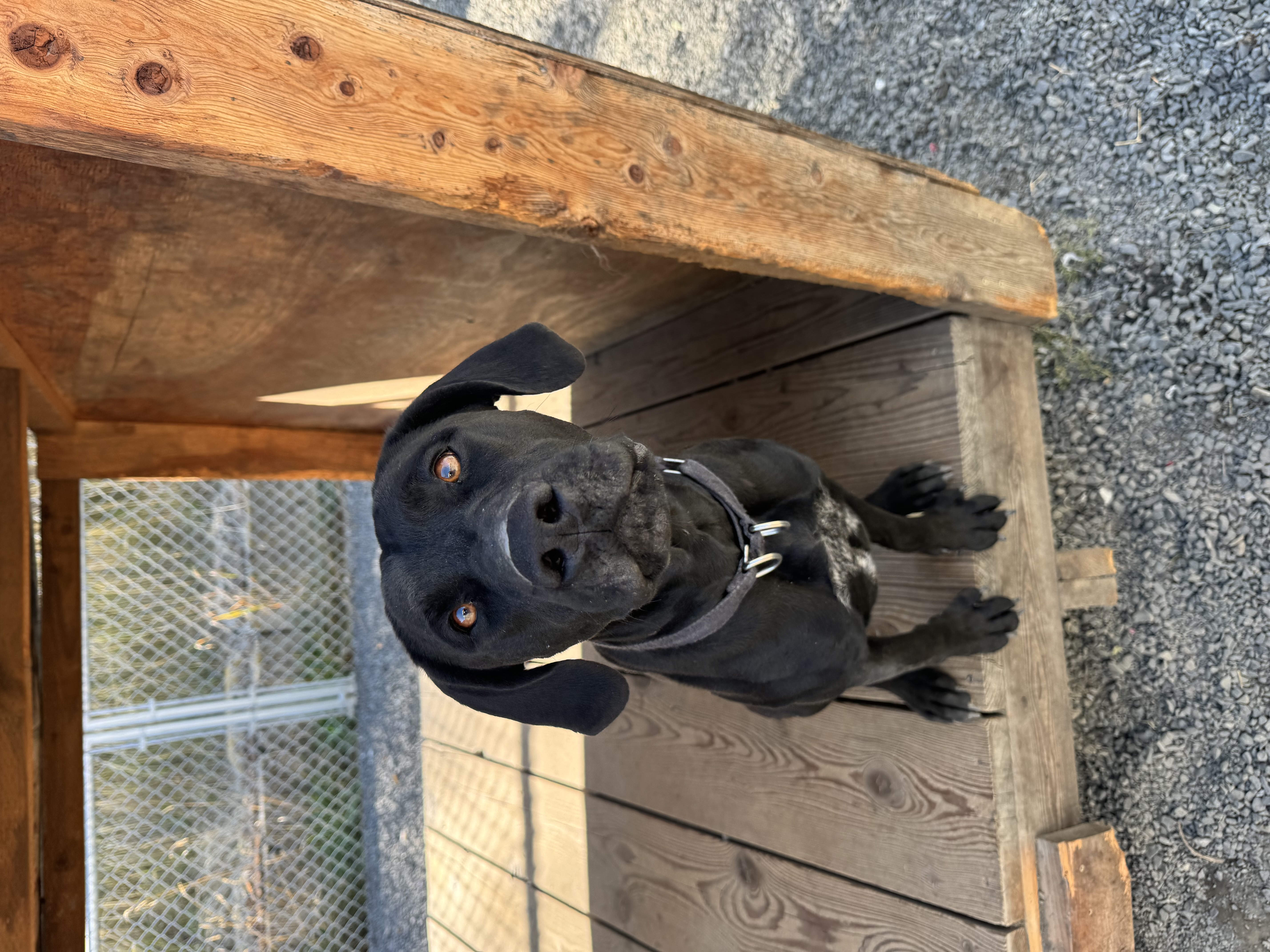 **COURTESY LISTING** Jade