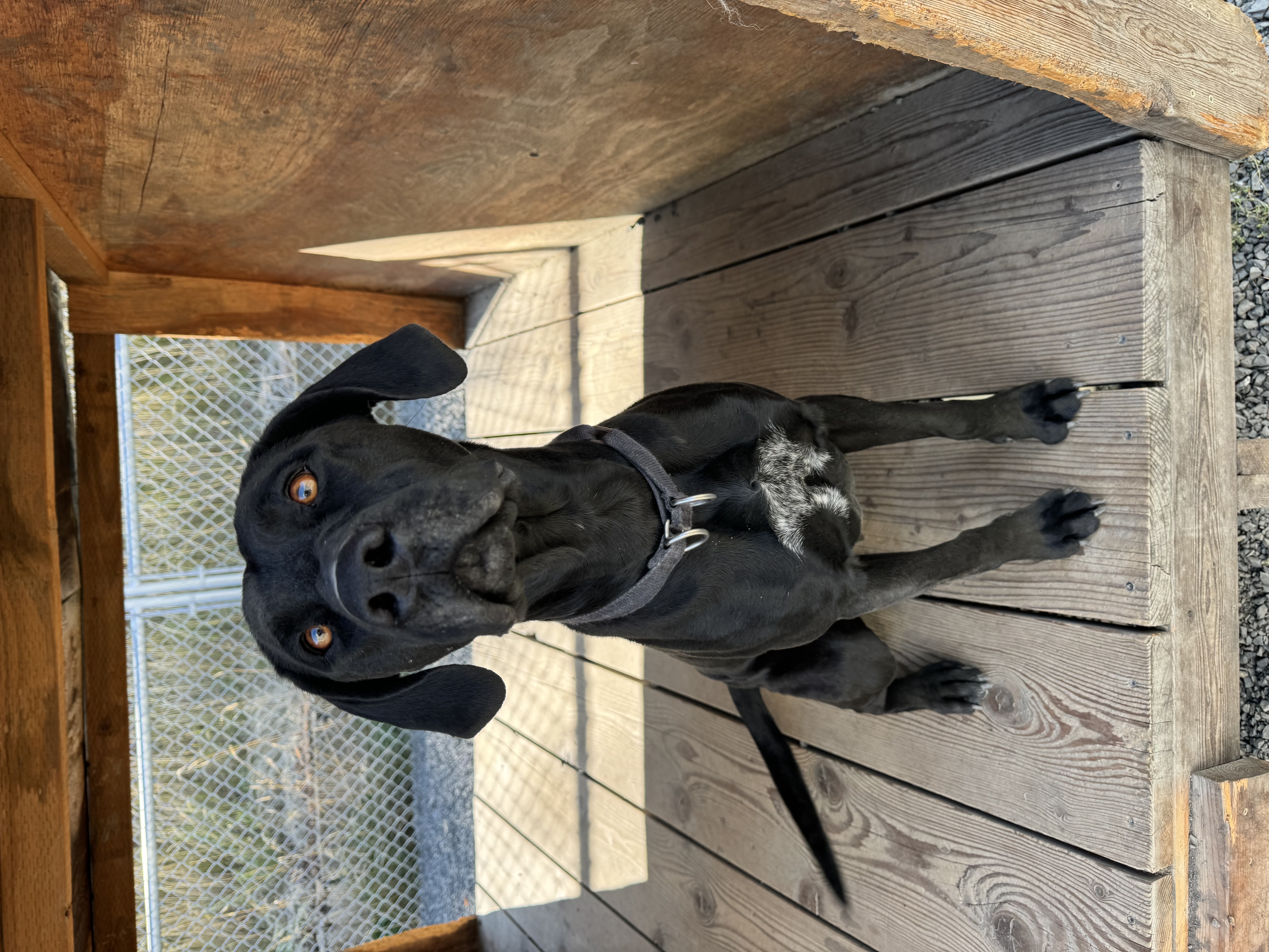 **COURTESY LISTING** Jade