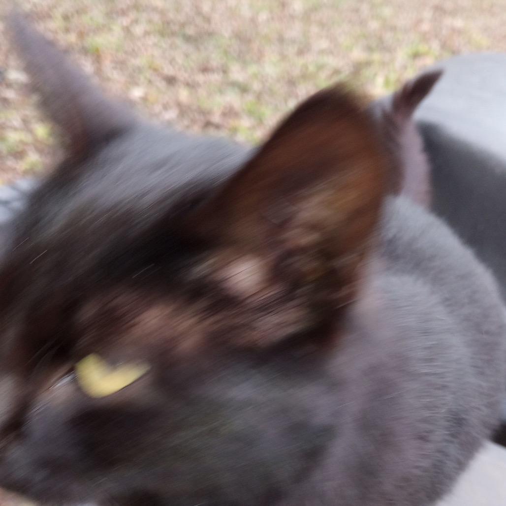 Sonia — thumbnail 2