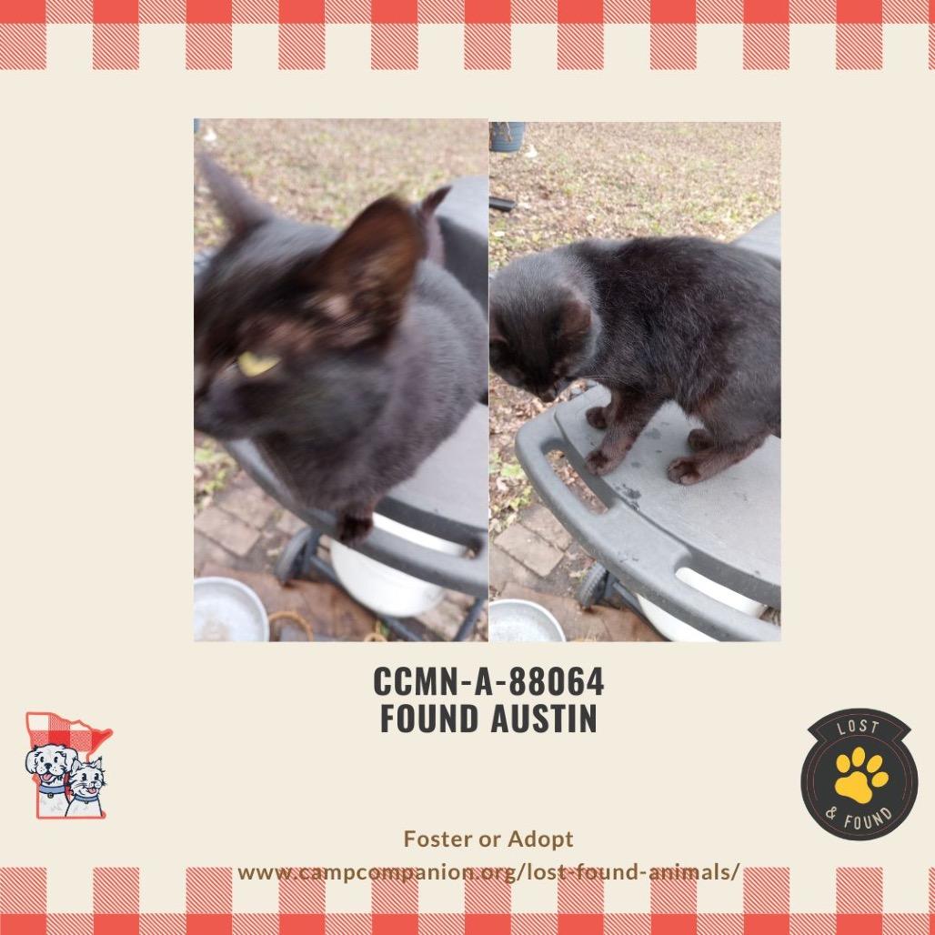 Sonia — thumbnail 3