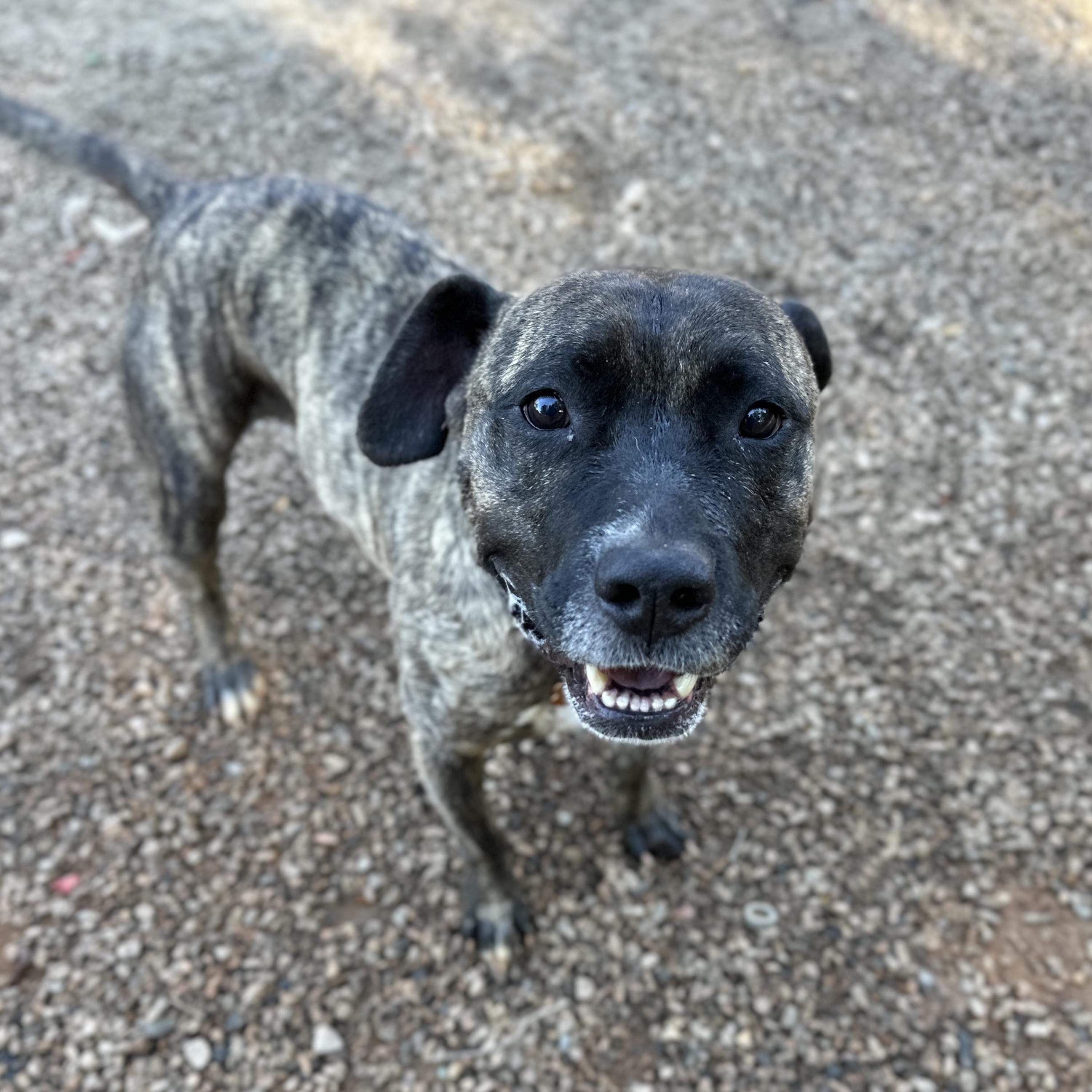 Lamar — thumbnail 4