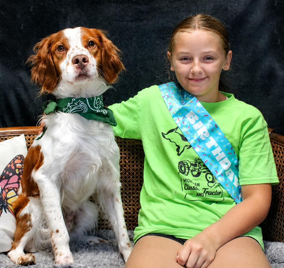 Barker, an adopted Brittany Spaniel in Cheboygan, MI image 6/6