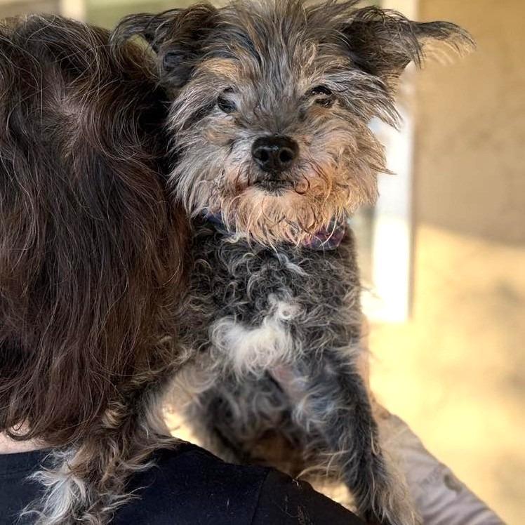 Max Marvel — thumbnail 5