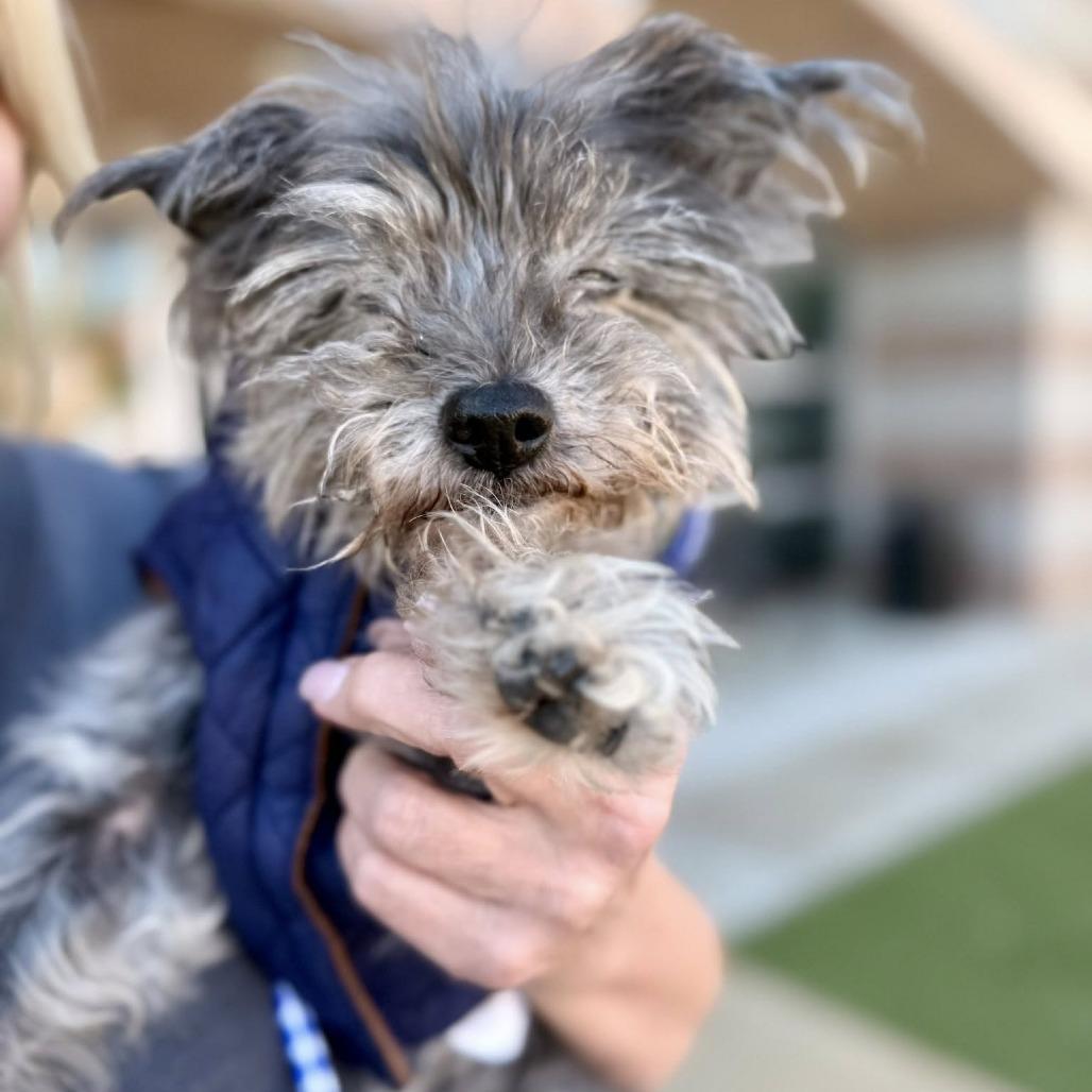 Max Marvel — thumbnail 6