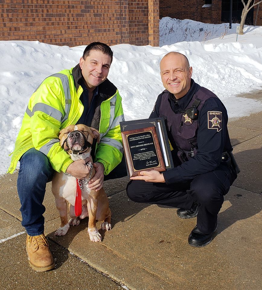 Bob, a Adoptable mixed breed in Roselle, IL image 2/5