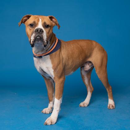 Marley — thumbnail 2