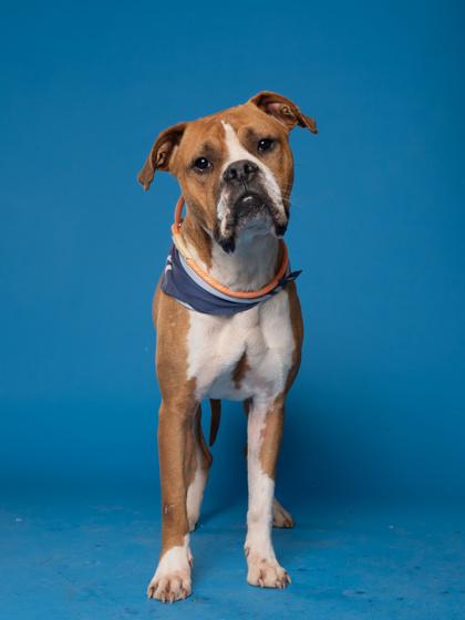 Marley — thumbnail 3