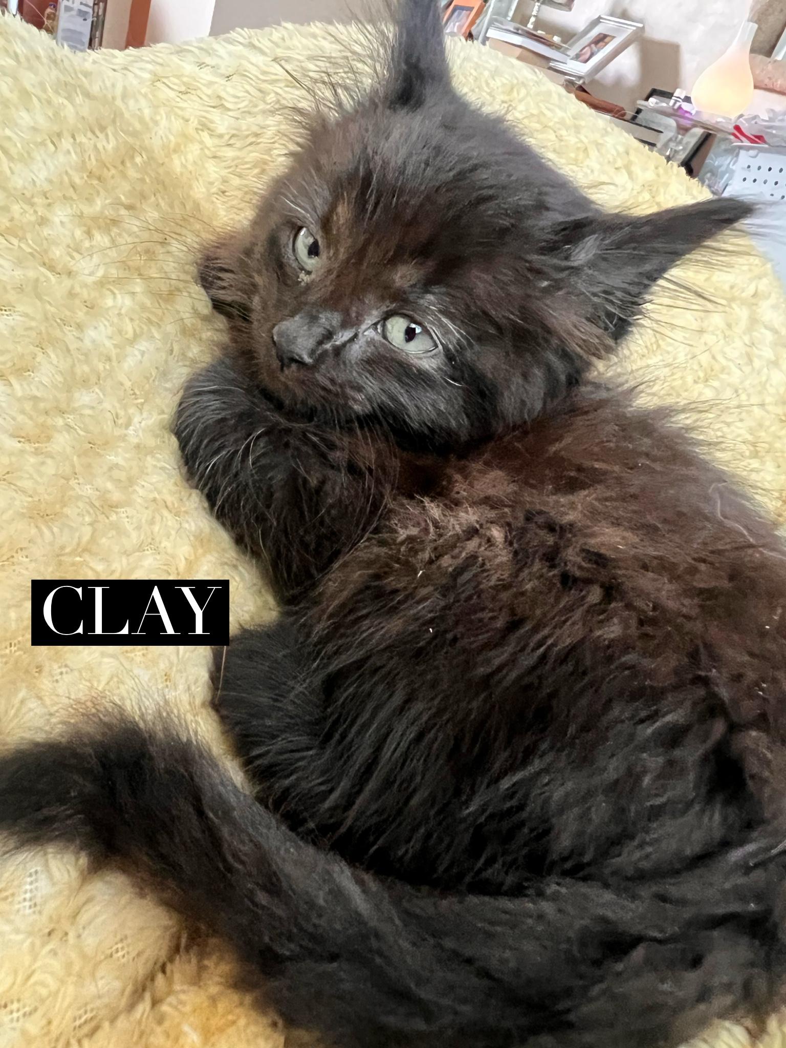 Clay