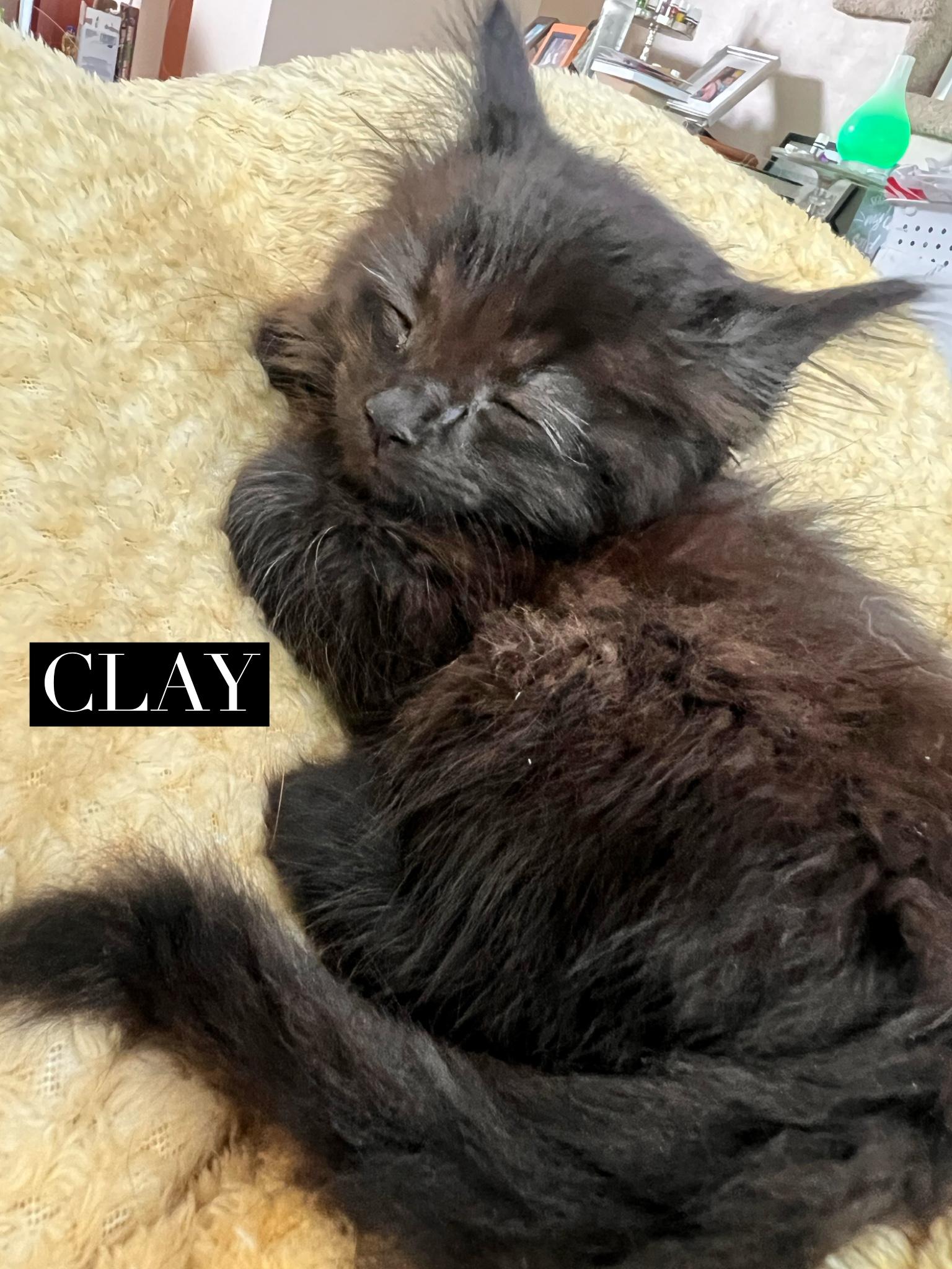 Clay