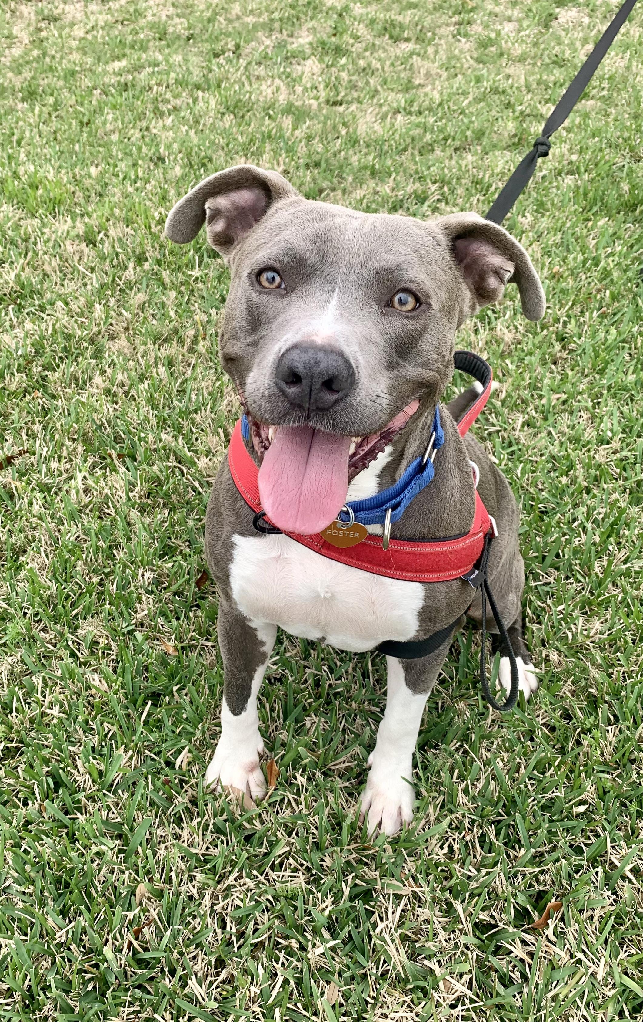 Mermaid — thumbnail 5