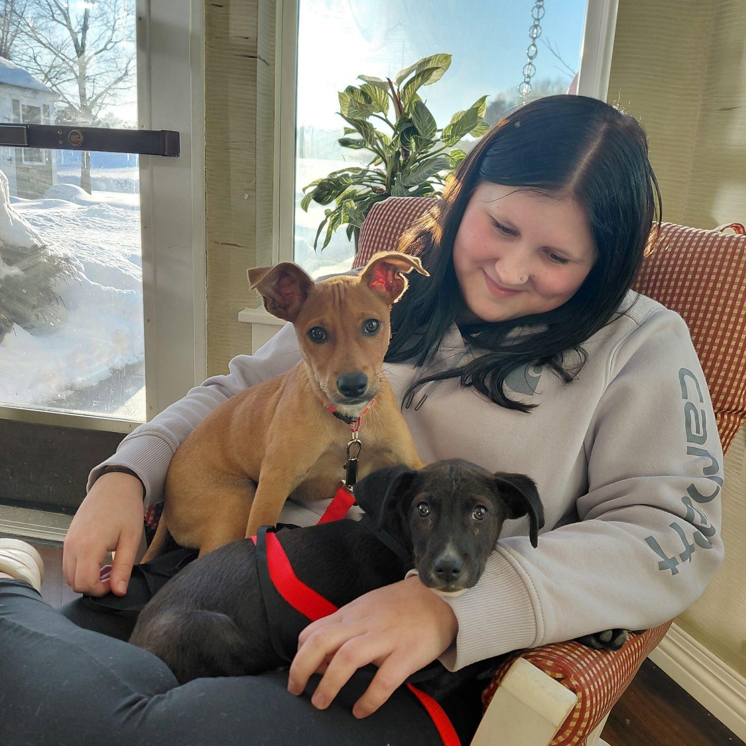 Enlarge Rico, an adopted mixed breed in Portland, ME image 6/6