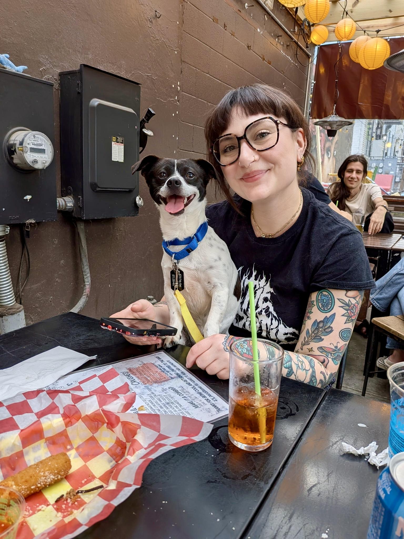 Rooster , ADOPTABLE, Adult Male Boston Terrier & Chihuahua.