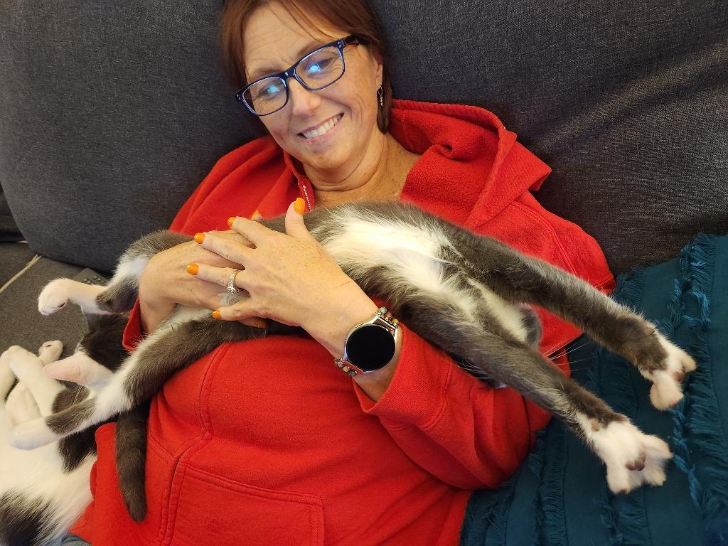 Finnegan — thumbnail 5