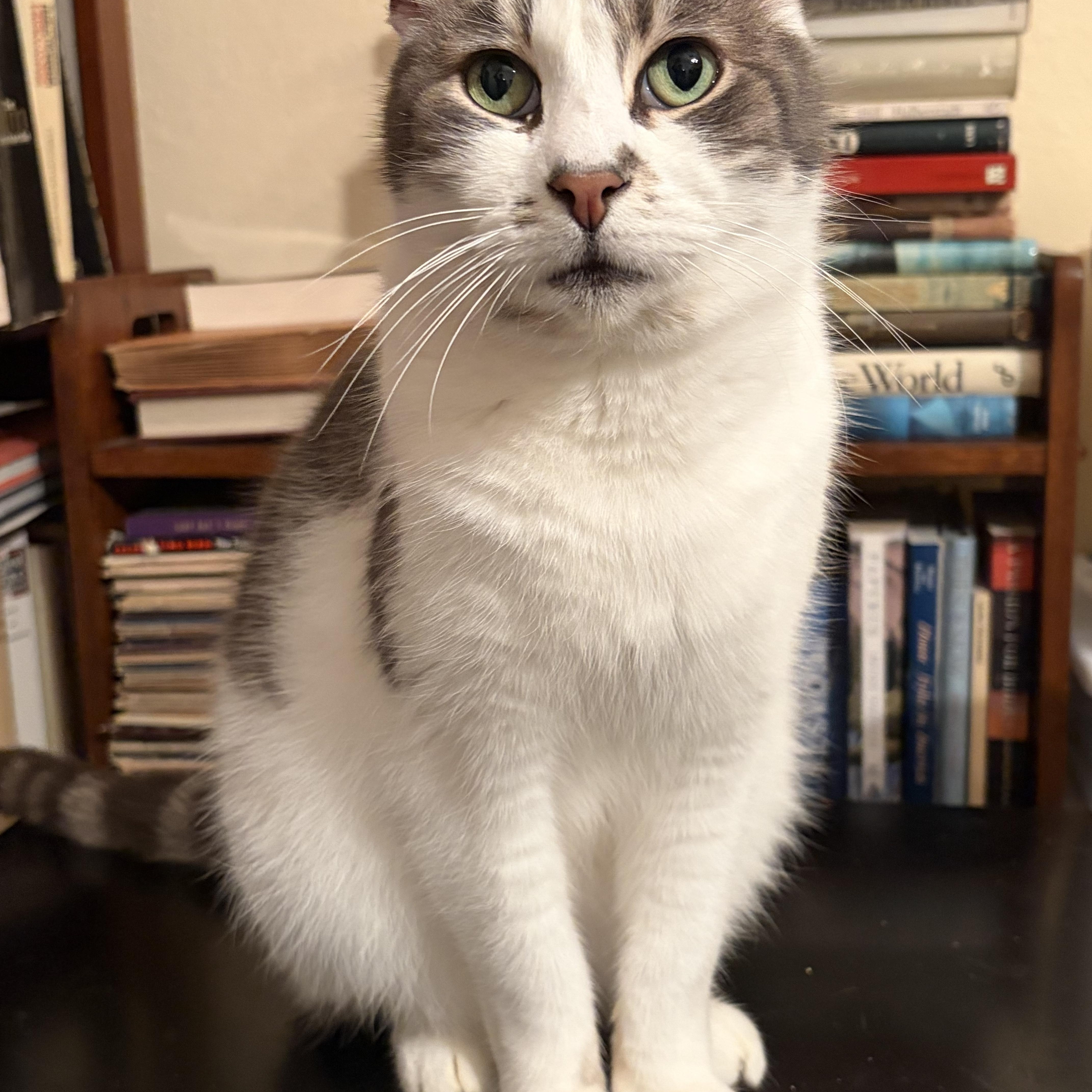 Joji — thumbnail 4