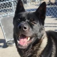 Lenny — thumbnail 2