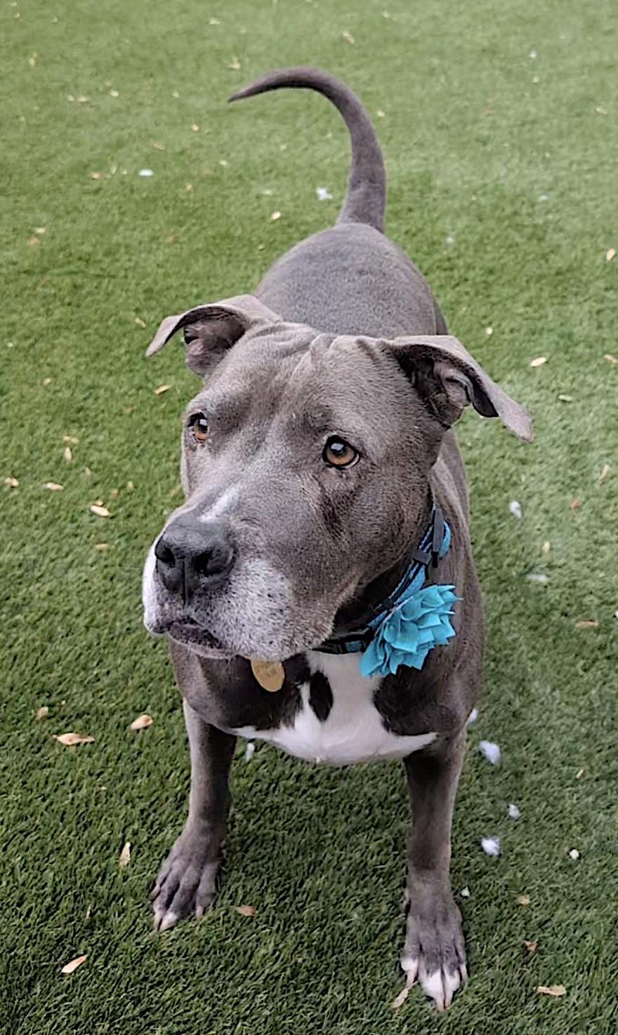 Cindy — thumbnail 4