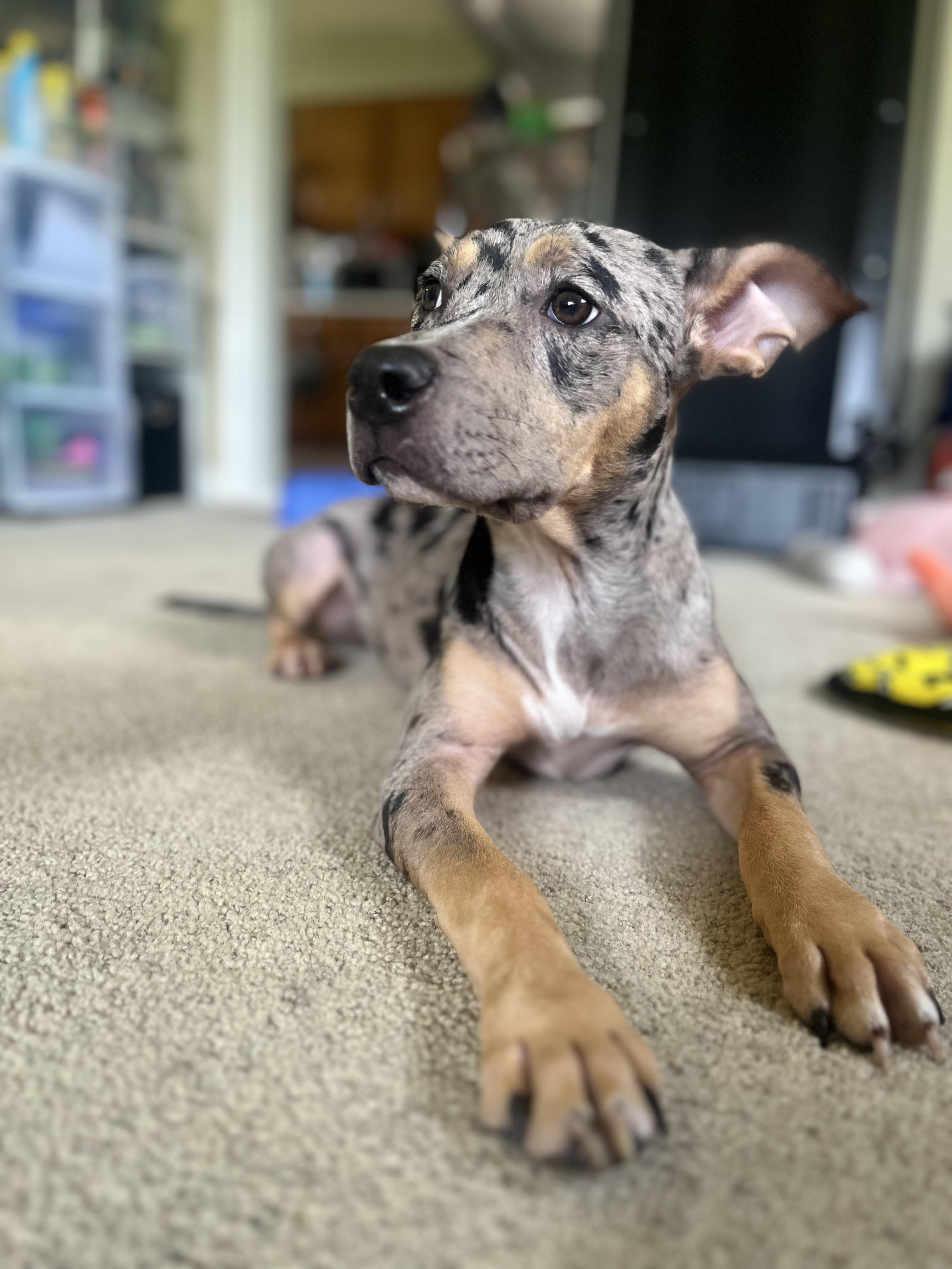 Tilly