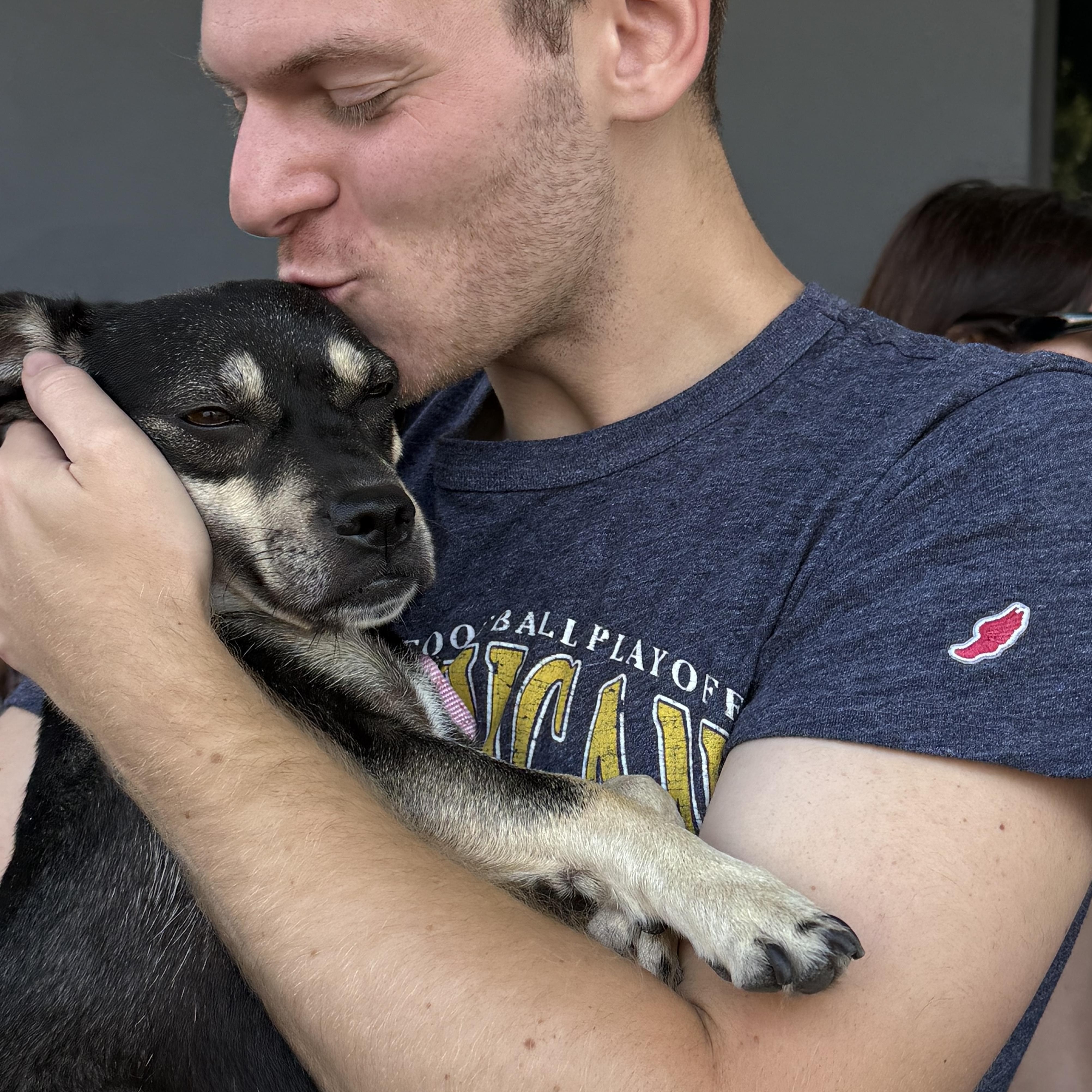 JUNA, a Adoptable mixed breed in El Segundo, CA image 6/6