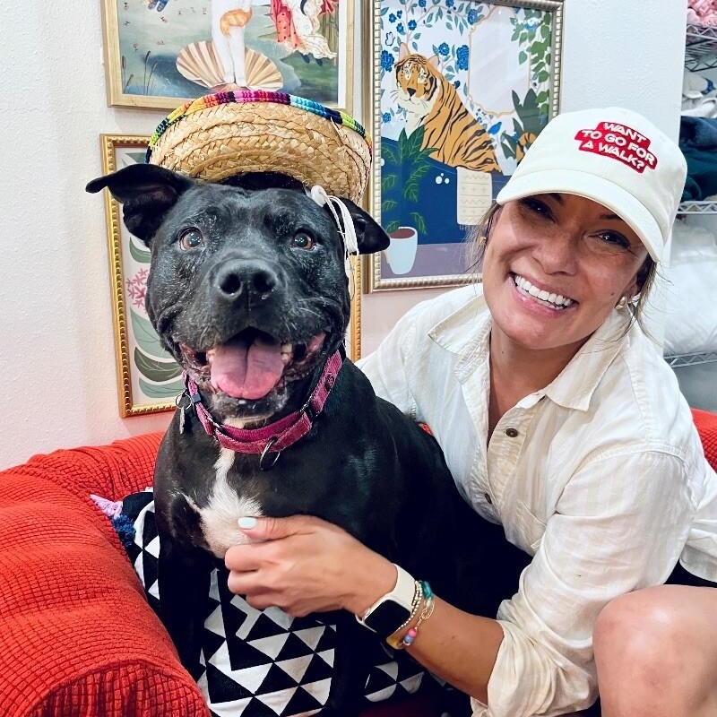 Polly Anna the Princess of lap snuggles and giggles — thumbnail 4