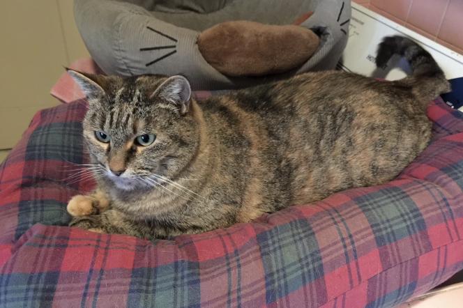 Lucci And Moxie thumbnail 2