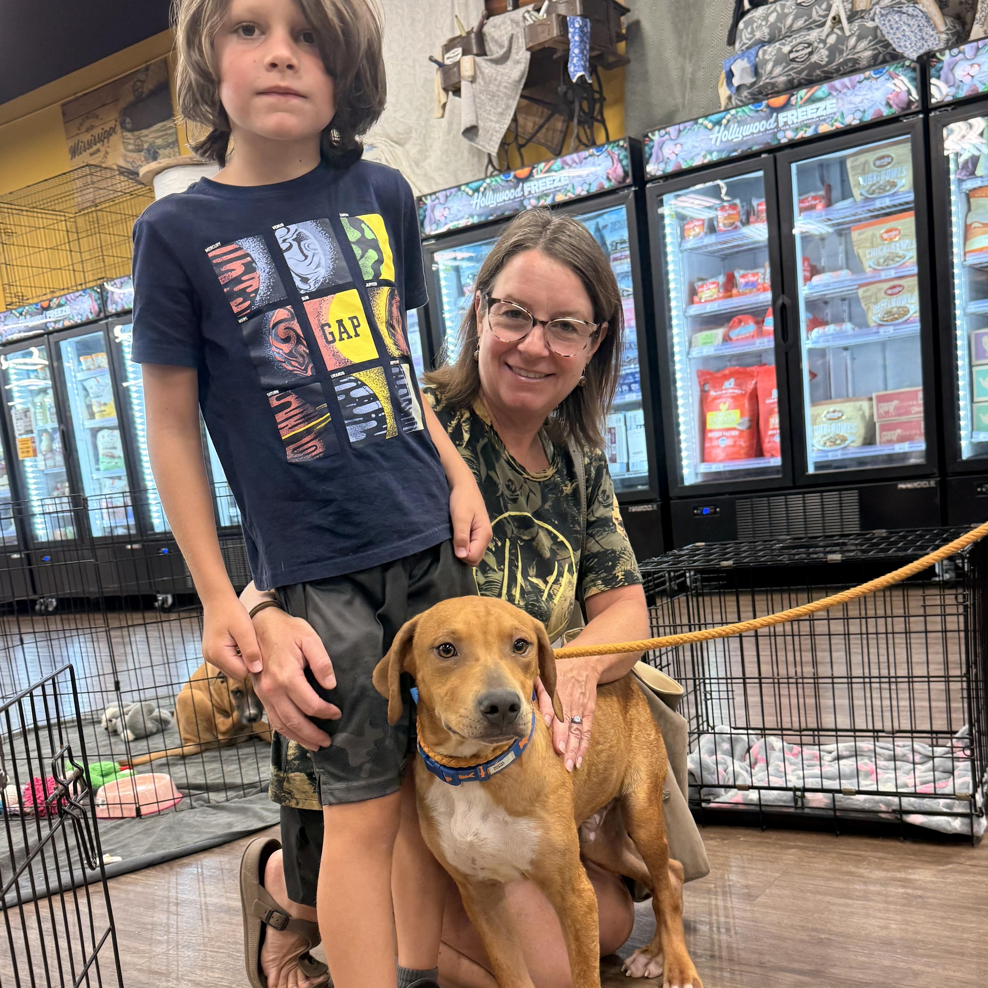 Enlarge Tater, a Adoptable mixed breed in Kalamazoo , MI image 2/6