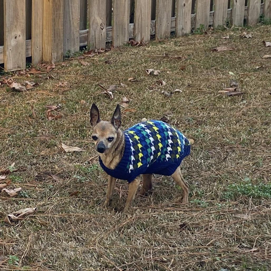 Annie B. — thumbnail 2