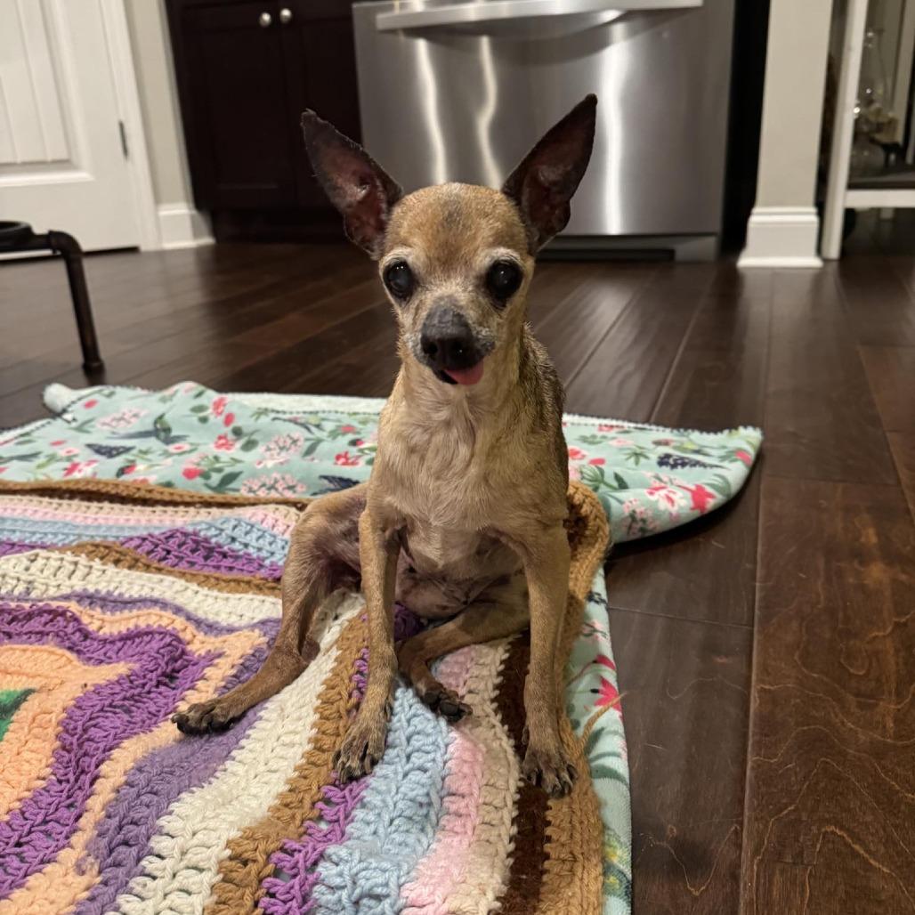 Annie B. — thumbnail 3