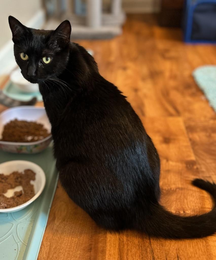 Zuri