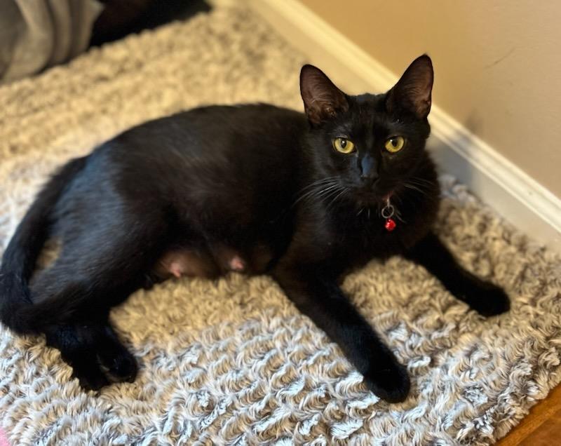 Zuri