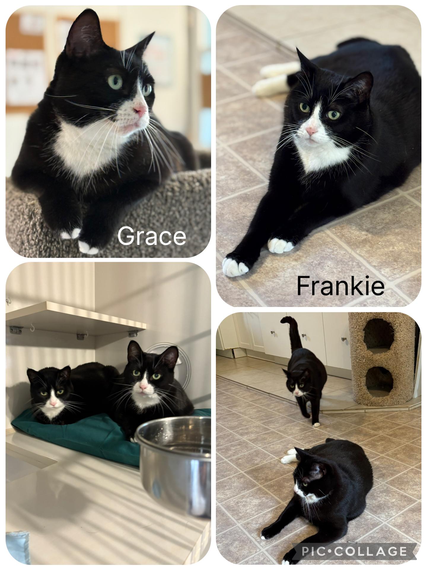 Frankie and Grace (bonded sisters)