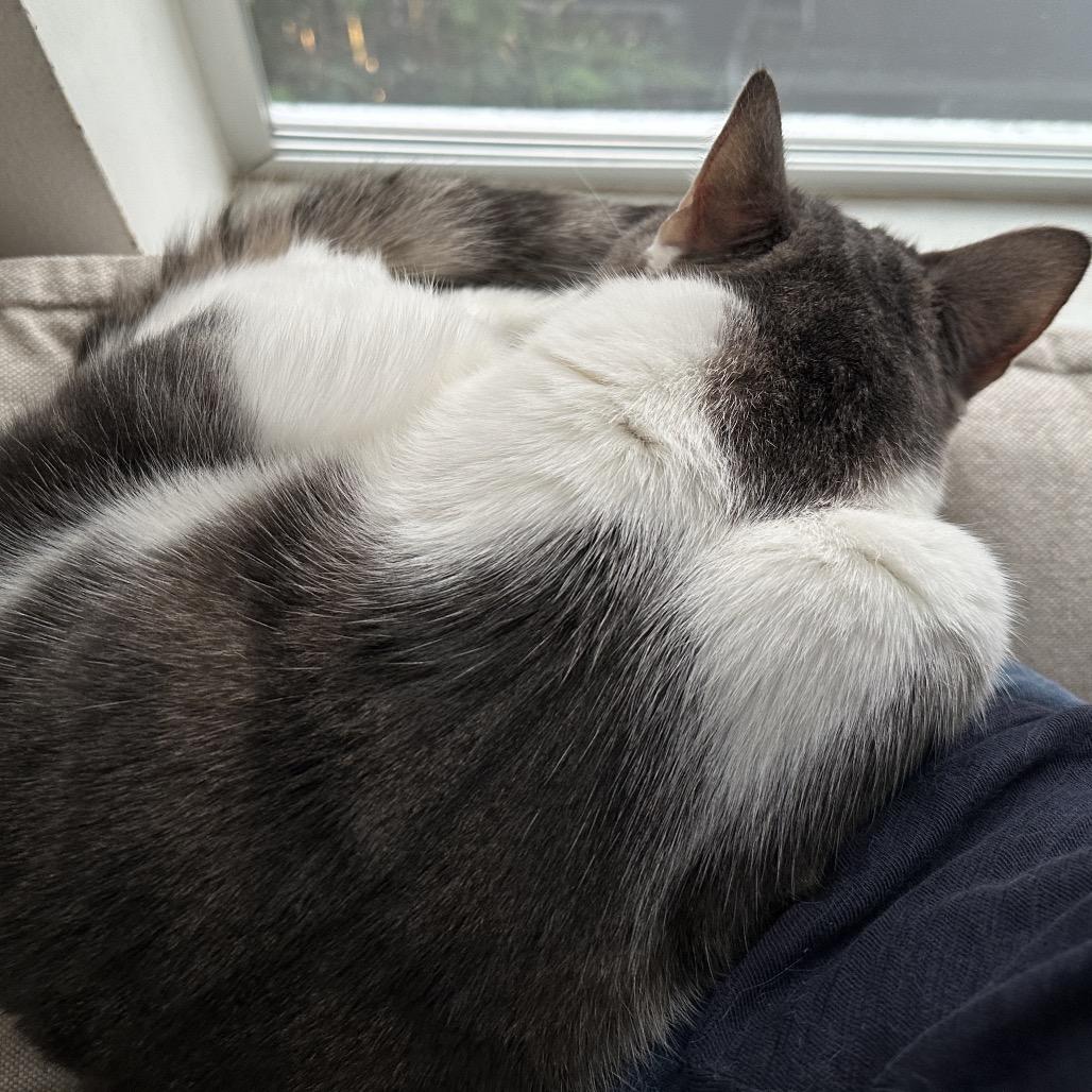 Lucy Loo — thumbnail 2