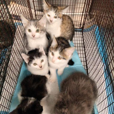 Lucy Loo — thumbnail 3